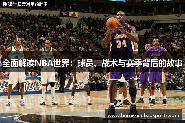 全面解读NBA世界：球员、战术与赛季背后的故事