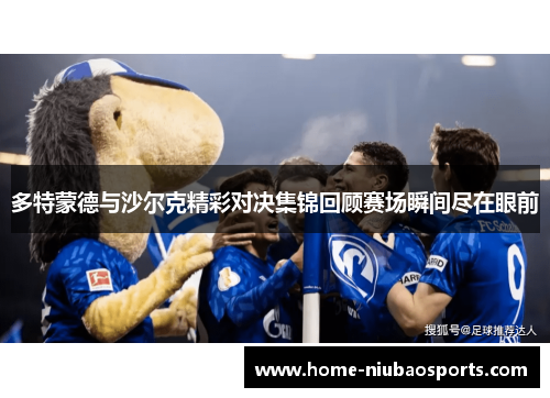 多特蒙德与沙尔克精彩对决集锦回顾赛场瞬间尽在眼前